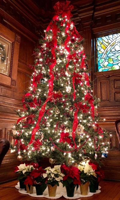 Cedar Crest Inn Christmas Tree