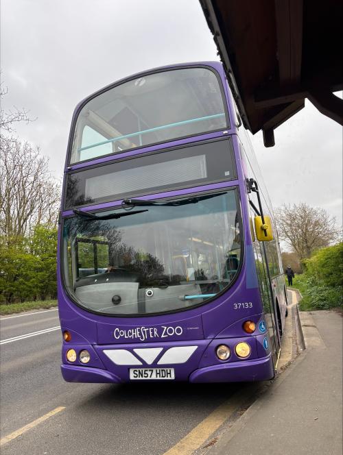 Colchester Zoo Wrapped Bus 2025