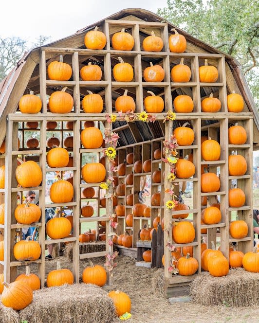 Pumpkin Frame Barn installation