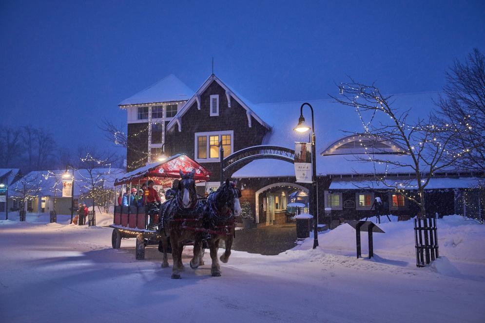 Crystal Mountain Sleigh Surrey Ride