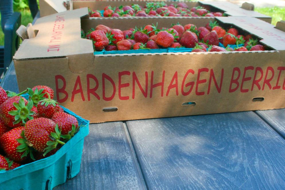 Bardenhagen Berries
