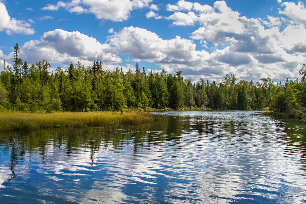 Grass River Natural Area