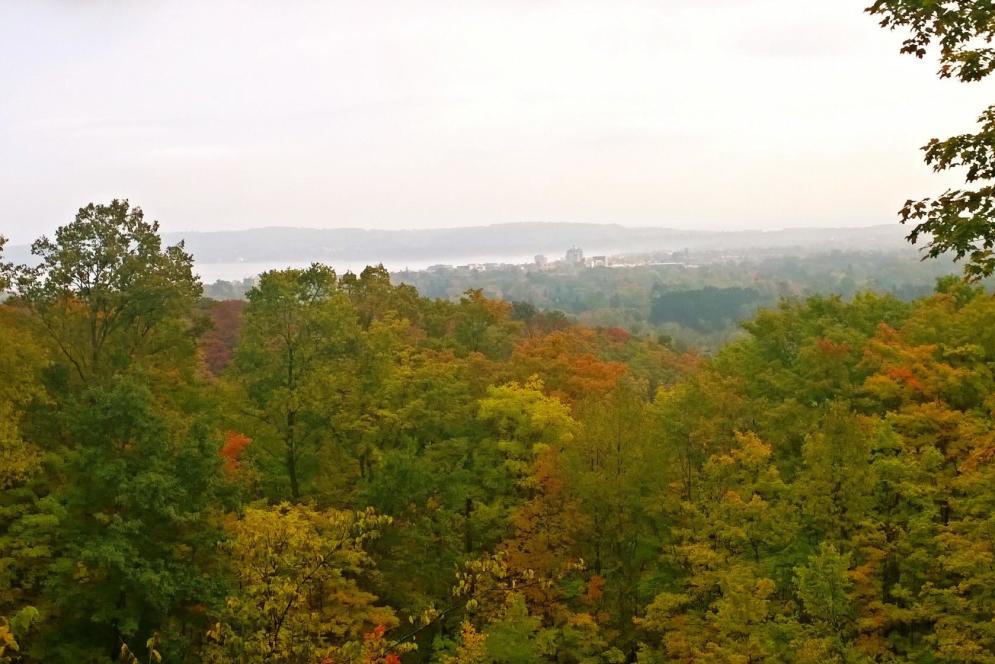 Fall Color in the Village at Grand Traverse Commons