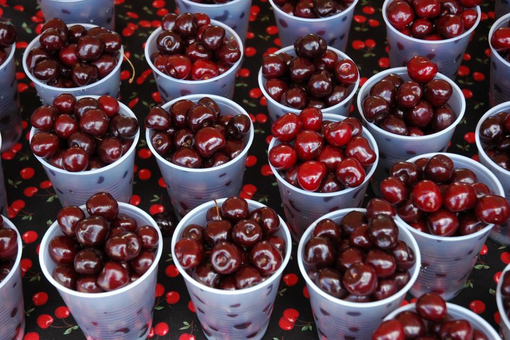 National Cherry Festival