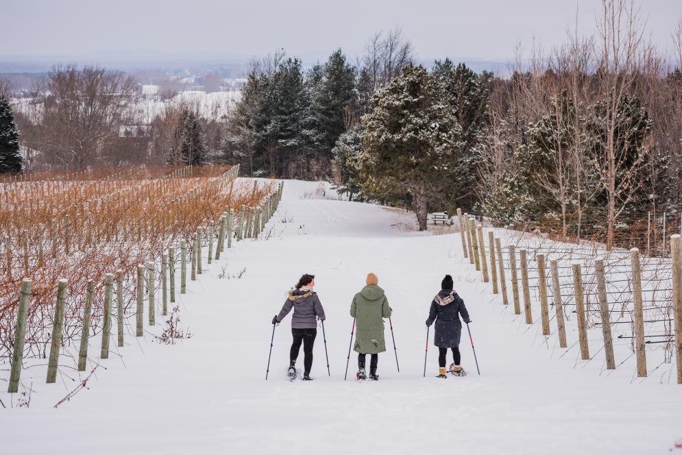 Snow shoeing at a winery