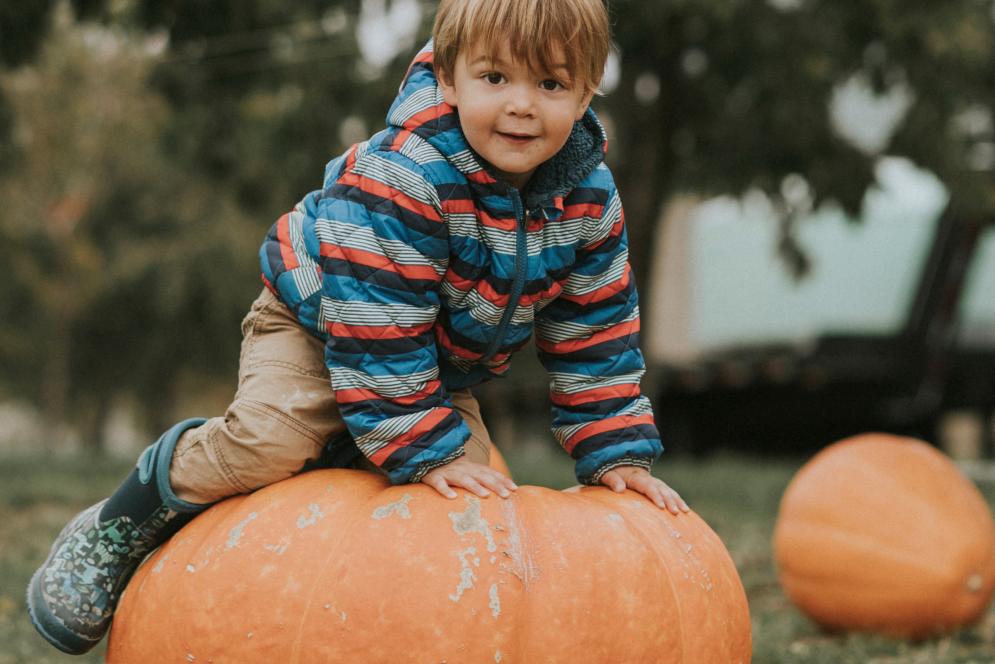 Kids at a Pumpkin Patch - Traverse City