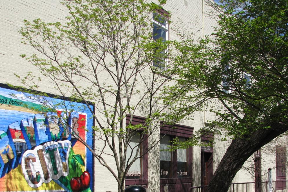 Mural in Downtown Traverse City