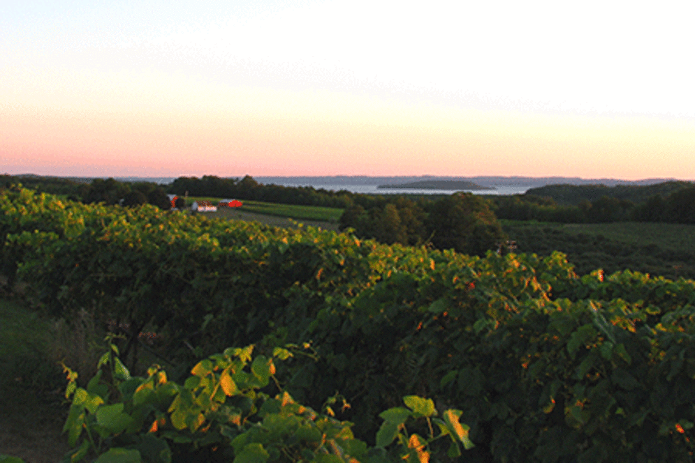 Wineries of Old Mission Peninsula