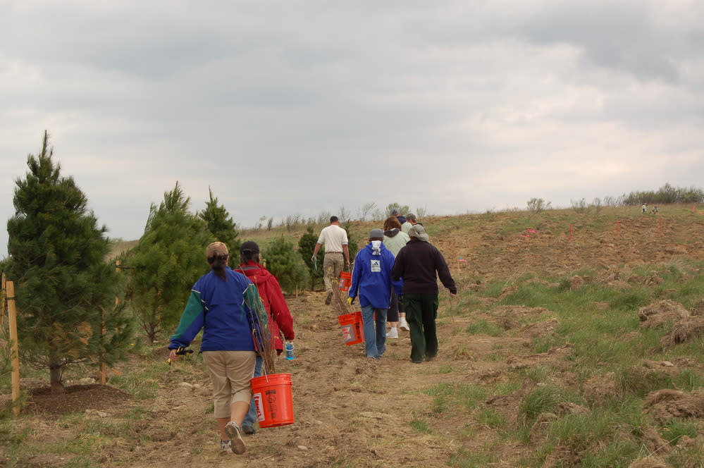 Plant a Tree at Flight 93