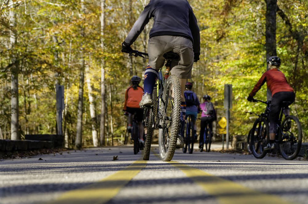 Mountain Bikers