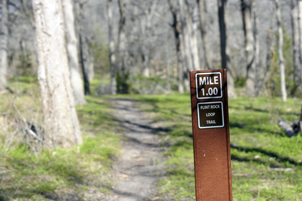 hiking trail at McKinney Falls State Park in austin texas