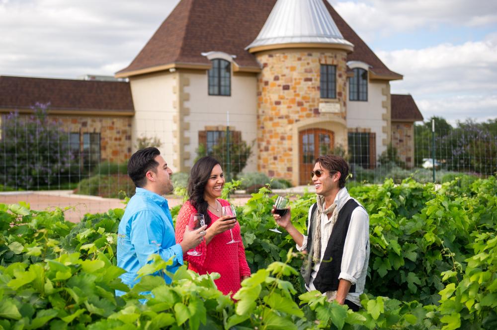 Two men and one woman standing amongst grapevines with wine glasses in hand.