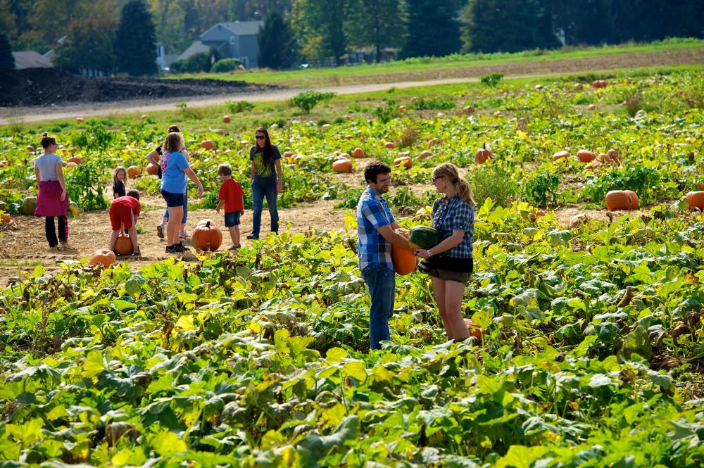 Shady Brook Farm
