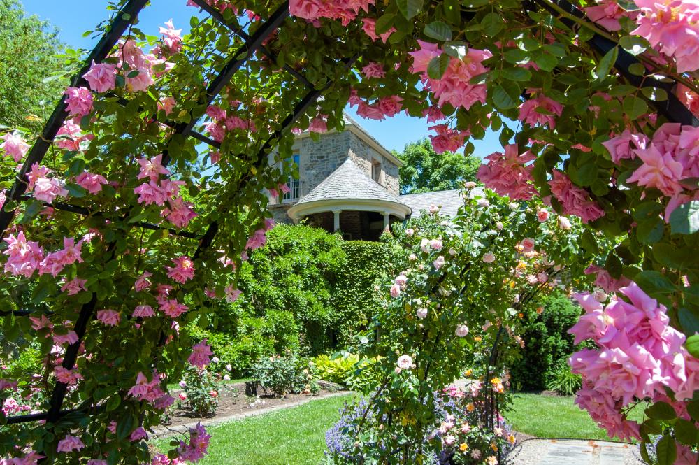 Rose Garden at Andalusia