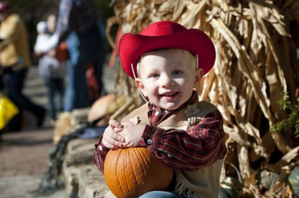 Wild Zoo Halloween Boy
