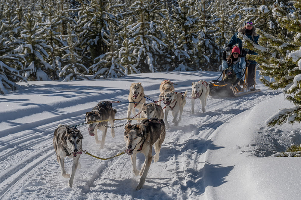 Granby, Colorado - Dog Sledding