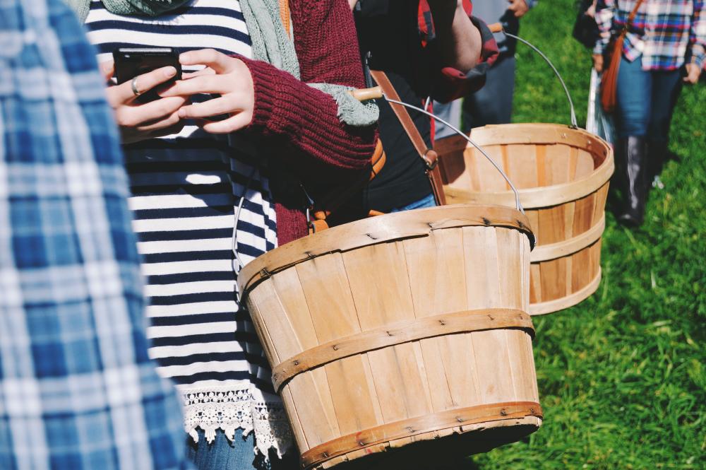 Group-of-people-carrying-baskets-for-strawberry-picking