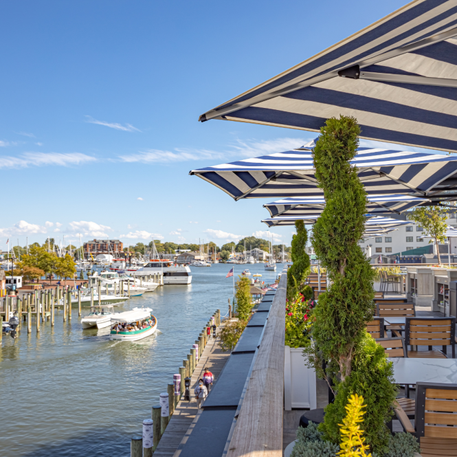 a view of a harbor with a restaurant overlooking the water