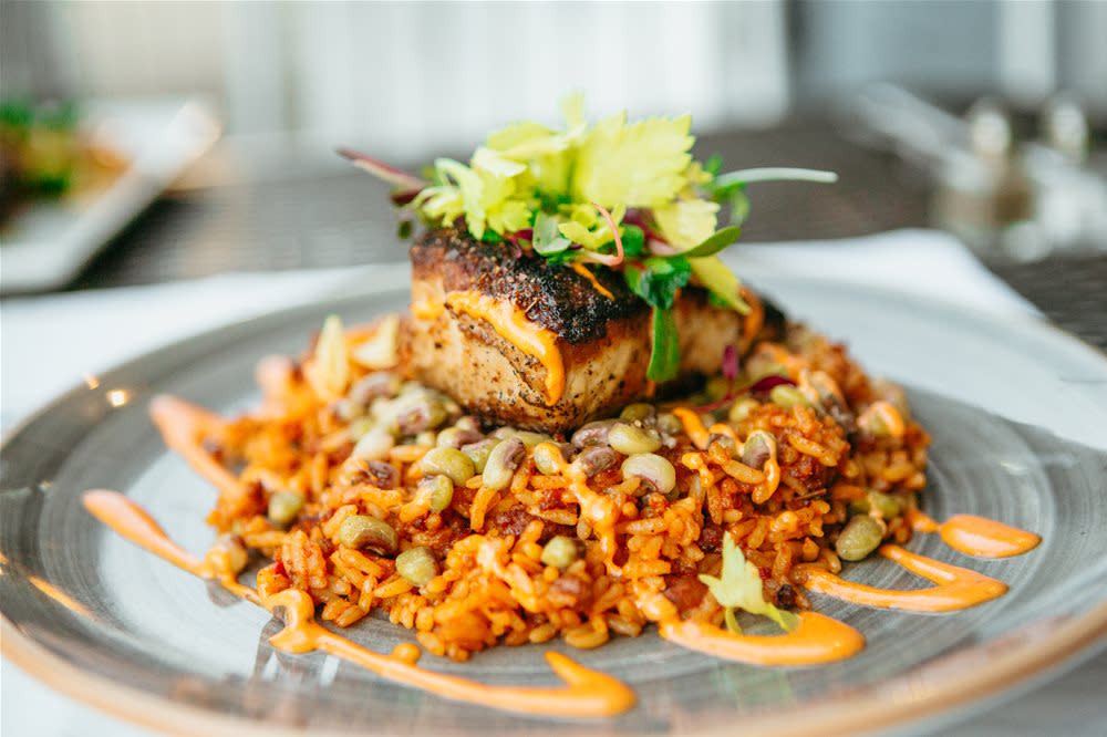salmon