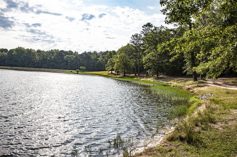 lee county lake