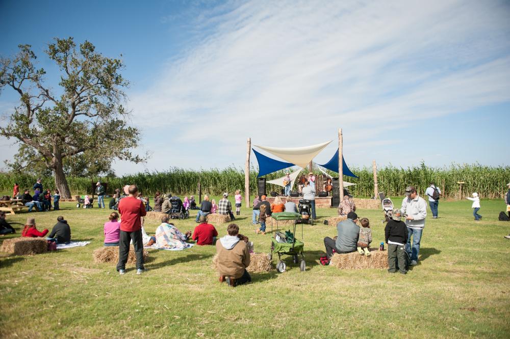 A crowd of children and parents sit on hay bales in front of a small outdoor stage with band at Barton Hill Farms. Behind the stage, there is a cornfield with tall cornstalks, and a white and blue shade covers the stage