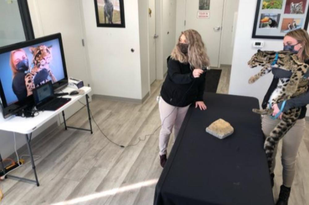 Columbus Zoo animal ambassadors making a virtual visit