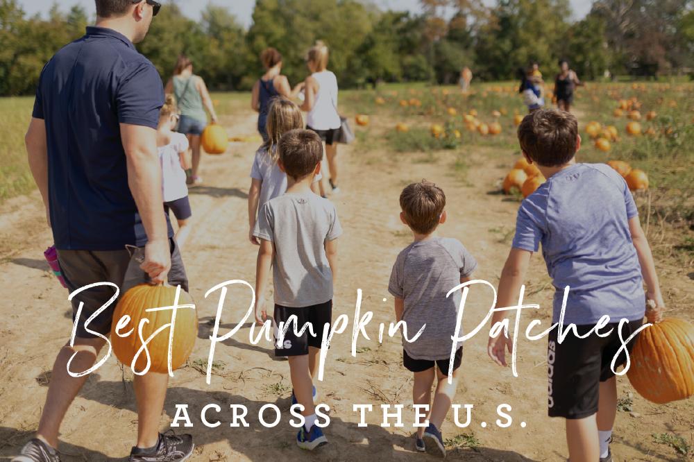 Best Pumpkin Patches