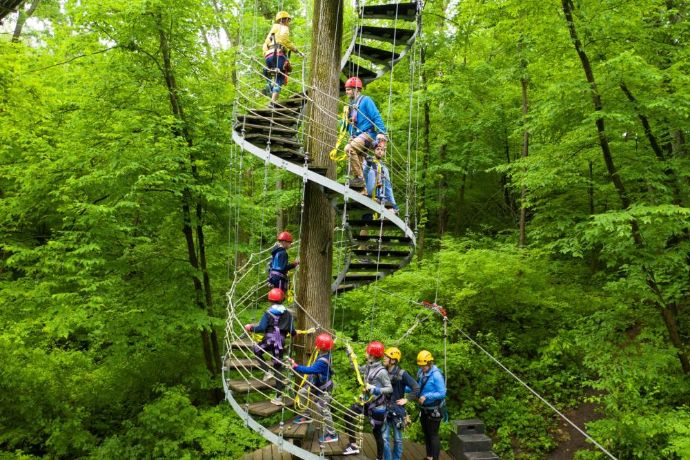 Group climbing to the ziplines.