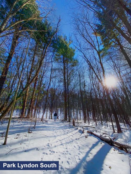 Walking in Winter Park Lyndon South in Chelsea