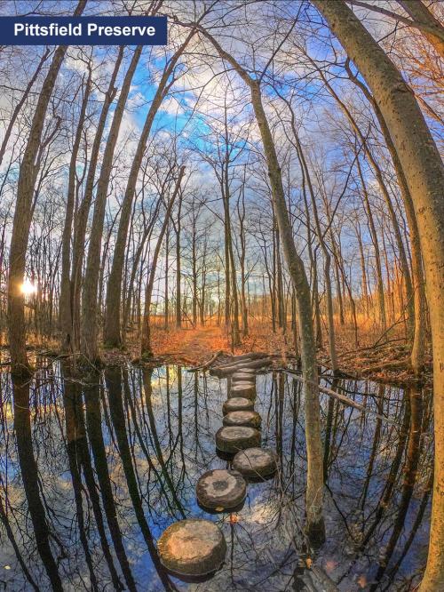 Pittsfield Preserve Nature Trail