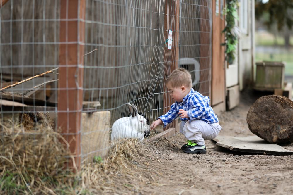 a little boy crouches down to put his hand to a fence to pet a rabbit.