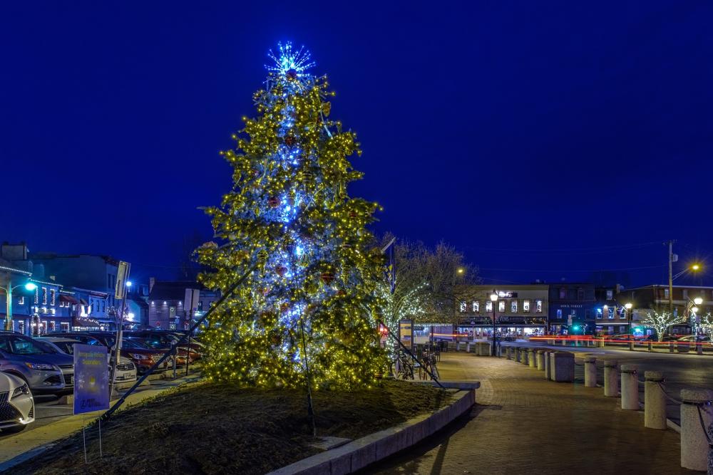 Christmas Tree Night Photo