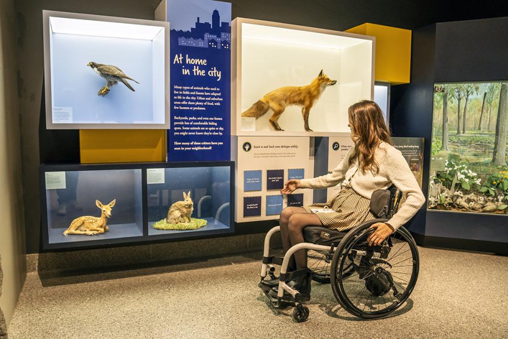 Woman in wheelchair visiting the U-M Museum of Natural History