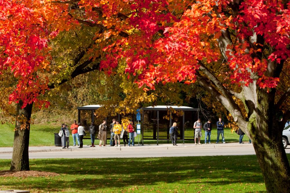 Campus Fall photo