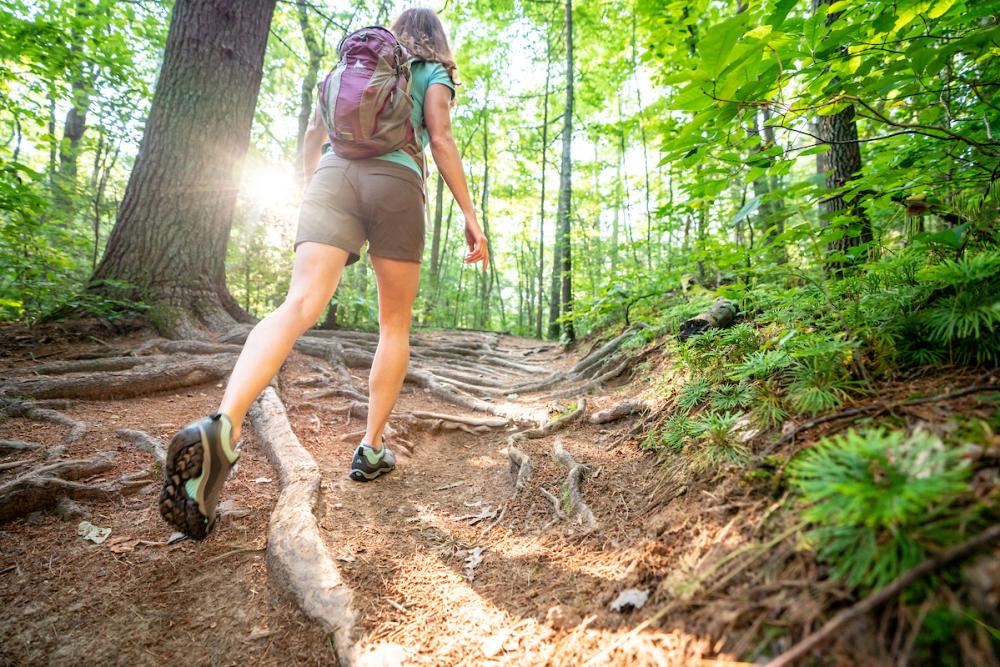 Hiking in Bent Creek Forest in Asheville, N.C.