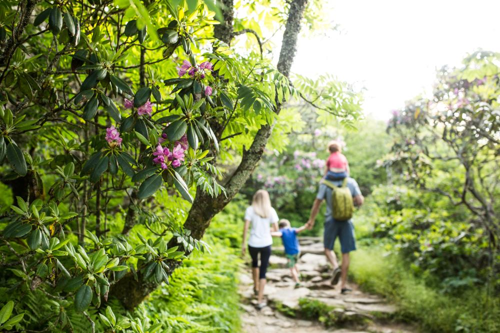 A family hikes on a lush trail near Asheville, NC