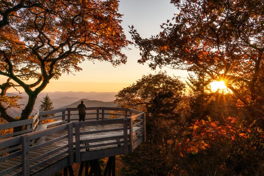 Person looking outward at mountains on overlook platform