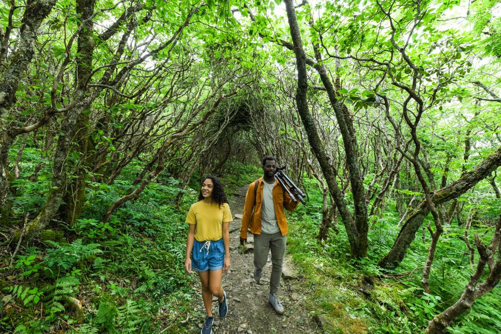 A scenic hike to Craggy Gardens near Asheville, NC