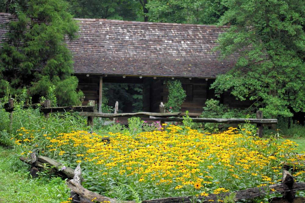 Asheville Botanical Gardens