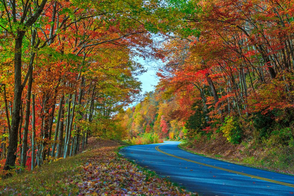 Fall Color on the Blue Ridge Parkway