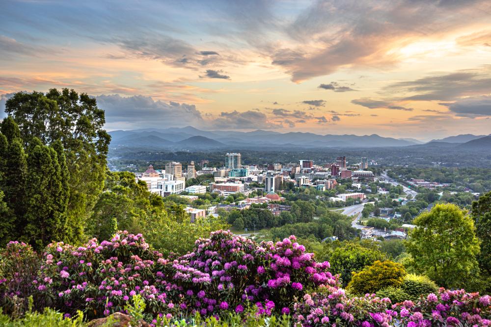 Asheville, NC skyline with beautiful rhododendron blooms