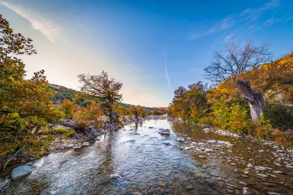 Fall scene of rainbow colored leaves on trees hanging over the still and clear Pedernales River.