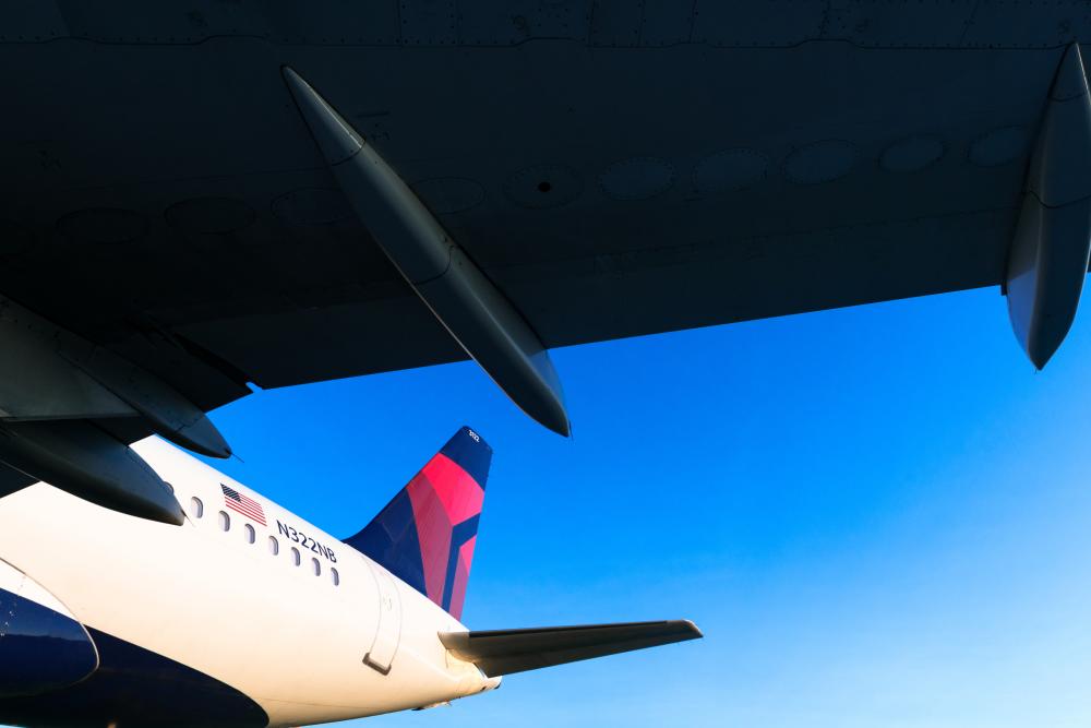 View of Delta plane from below