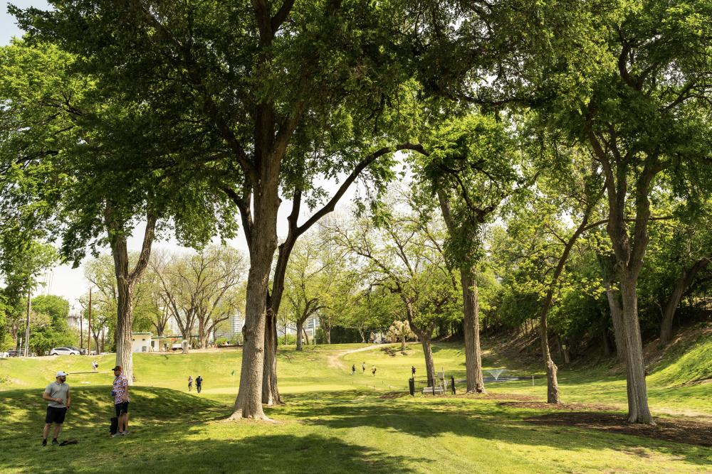 landscape photo of the course and trees at Butler Park Pitch and Putt