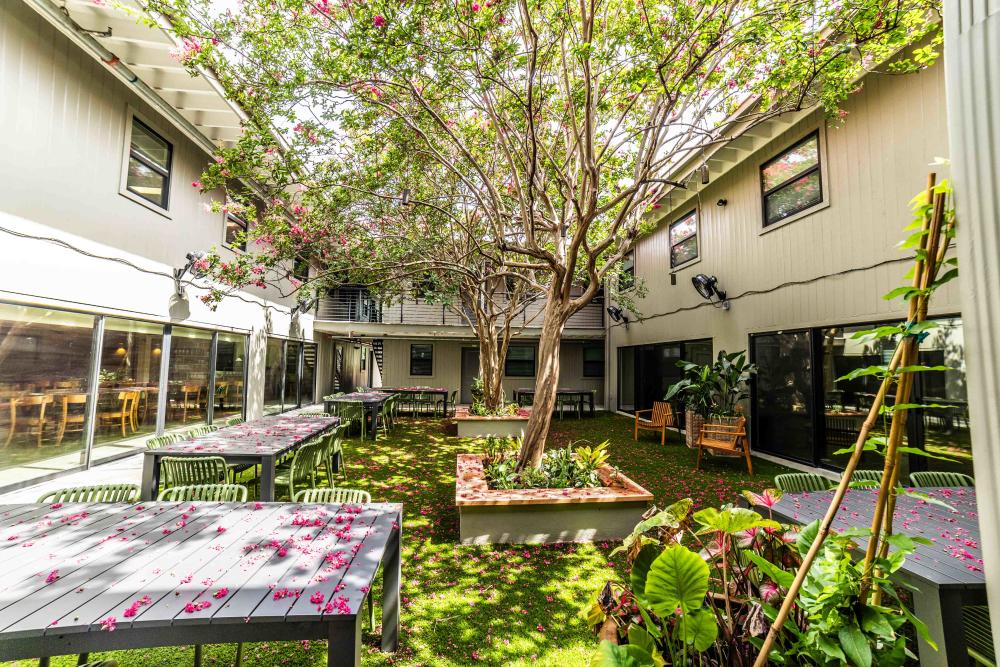 Tree-shaded courtyard at Casa De Luz with tables and seating.