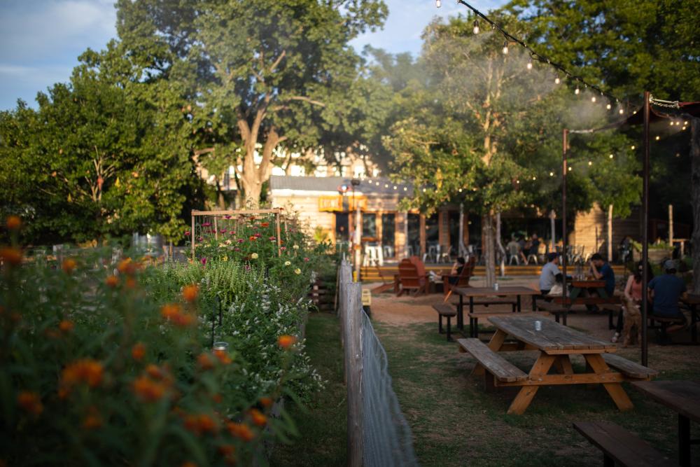 Cosmic Coffee and Beer Garden and Patio in Austin Texas