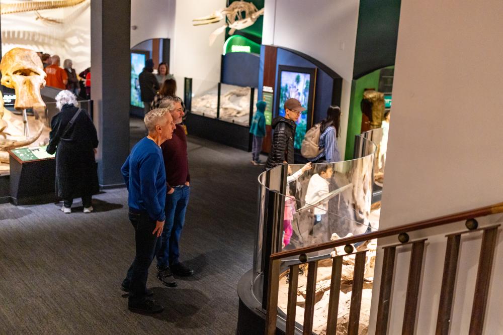 Two men viewing a fossil exhibit at the Texas Science and Natural History Museum.