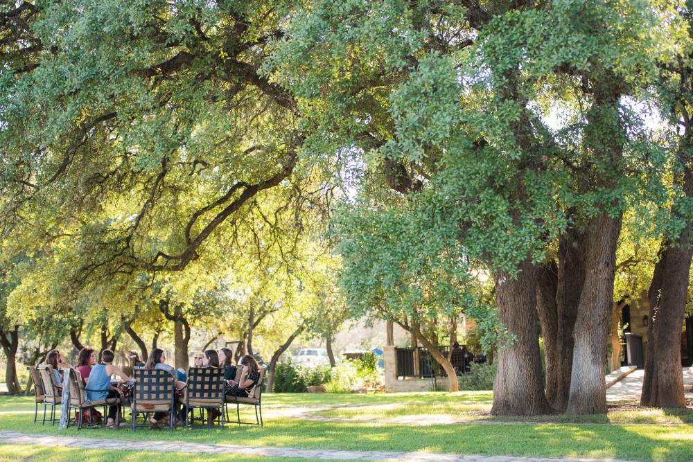 Photo of people sitting around a table in the yard at Spicewood Vineyards under tall green trees