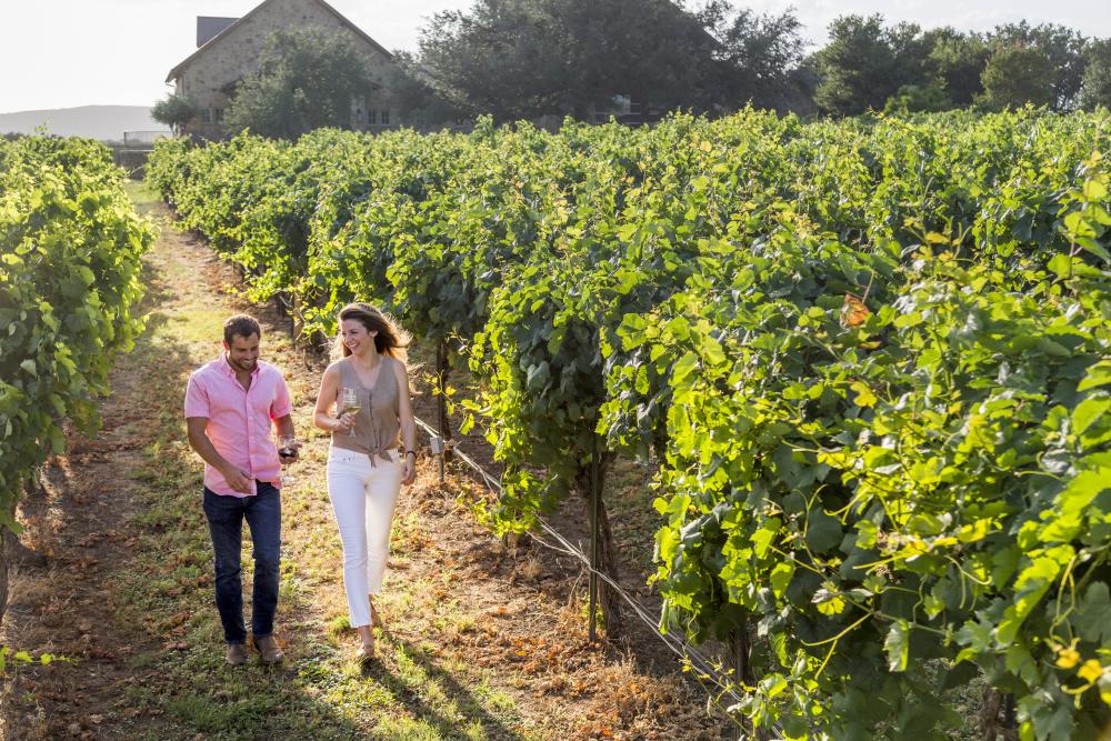 Couple walks through vineyard in Marble Falls Texas