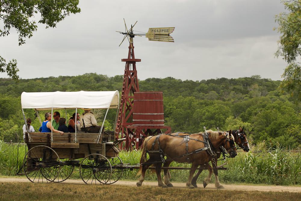 People taking a horse drawn Covered Wagon Ride at Pioneer Farms in Austin Texas